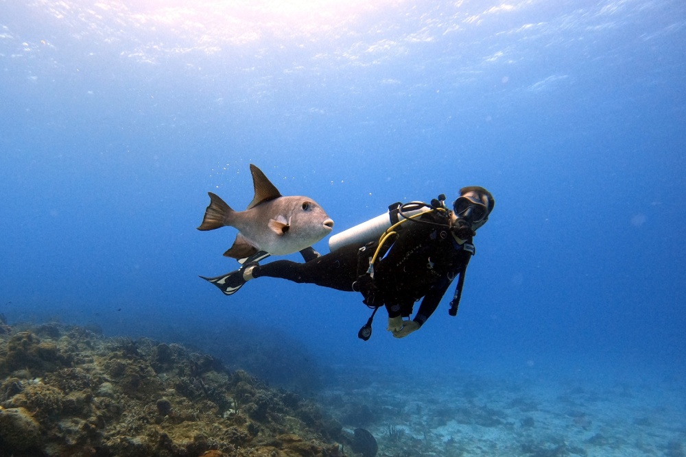 la mejor cámara submarina para hacer snorkel